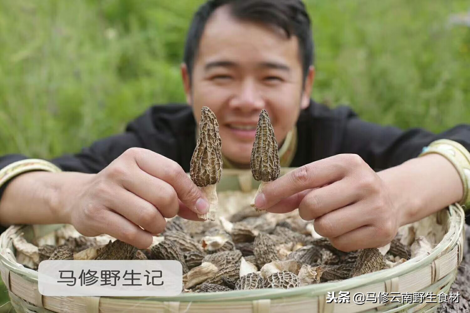 羊肚菌的功效与作用(羊肚菌有什么功效与作用)