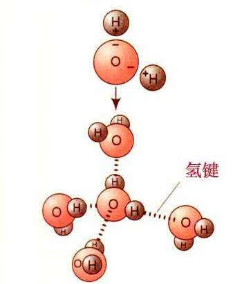 氢键是不是化学键的一种(氢键属于化学键吗)