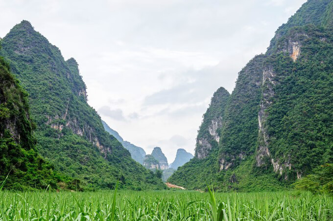 广西百色靖西风水宝地(广西风水宝地大全)