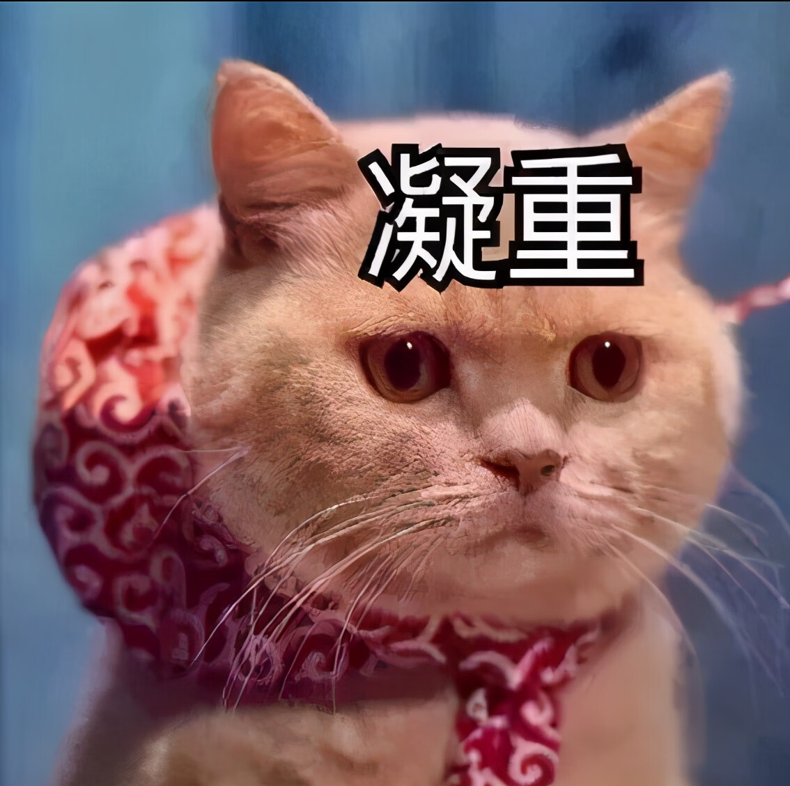 妇炎洁可以治疗哪些妇科病(外阴瘙痒用洁尔阴还是妇炎洁)