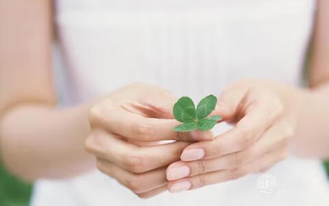 卵巢囊肿怎么办才好(卵巢囊肿是怎么得来的)