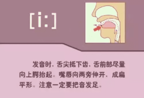 音标发音规则详解(音标的发音规律是什么)