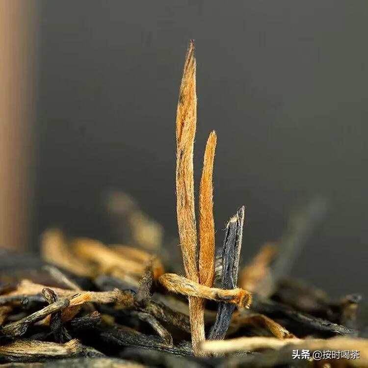 秋季喝什么茶好呢(秋季宜饮用哪种茶)