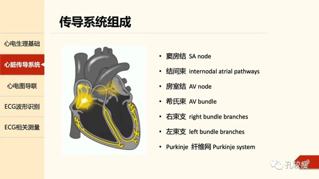 心电图导联位置示意图(心电图机导联位置图)