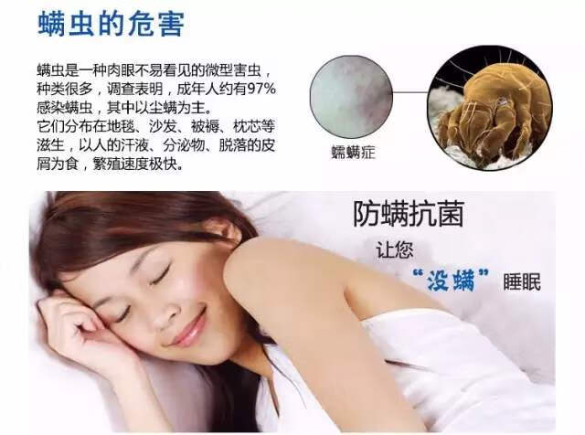 螨虫感染(螨虫图片)