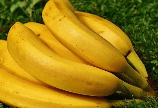 香蕉皮的功效与作用点