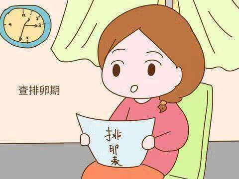 排卵期怎么算的(排卵期是什么时候怎么算)