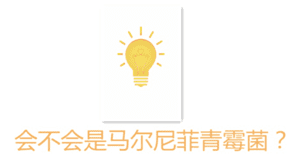 血常规艾滋病看哪一项(艾滋病看血常规哪一项)