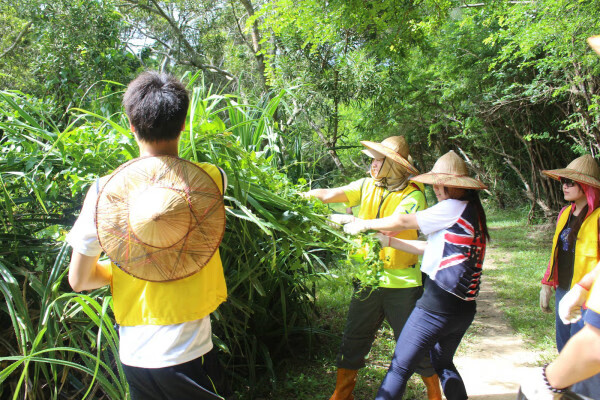去台湾旅游网(2022怎么去台湾旅游)