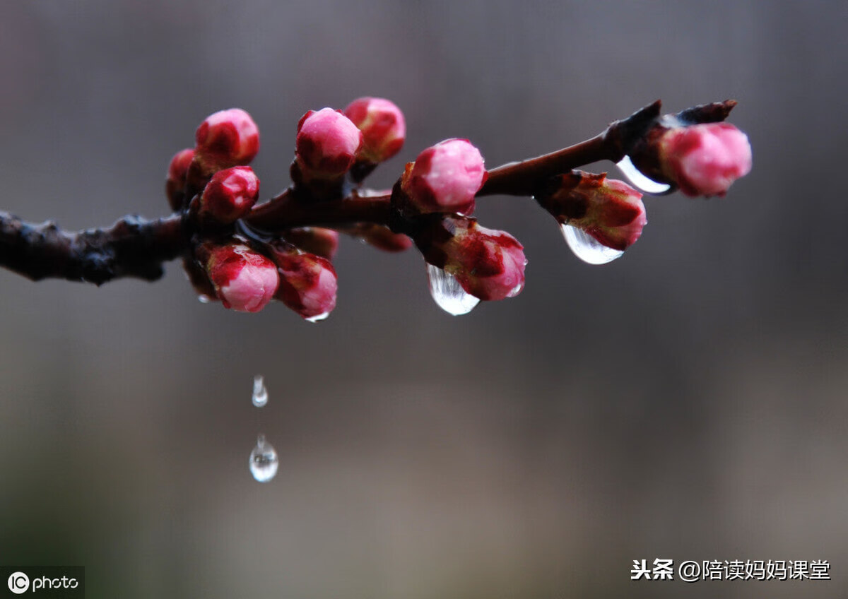 经典比喻句集锦，暑期晨读摘抄，快为孩子收藏