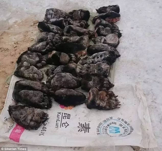 熊掌的价钱(熊掌的价格是多少)