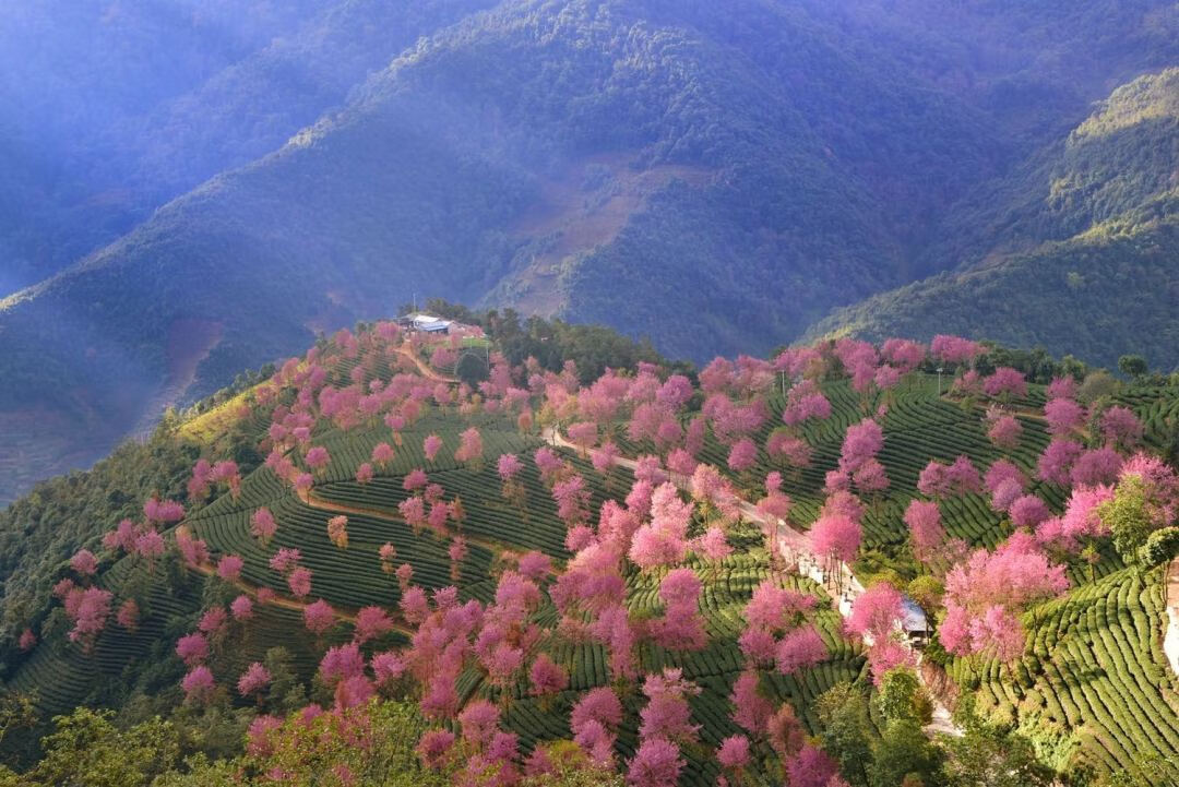 11月份去哪里旅游好玩(11月出游有哪些好地方)