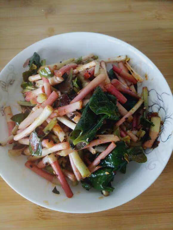 鱼腥草的吃法大全(鱼腥草泡水喝有什么功效)