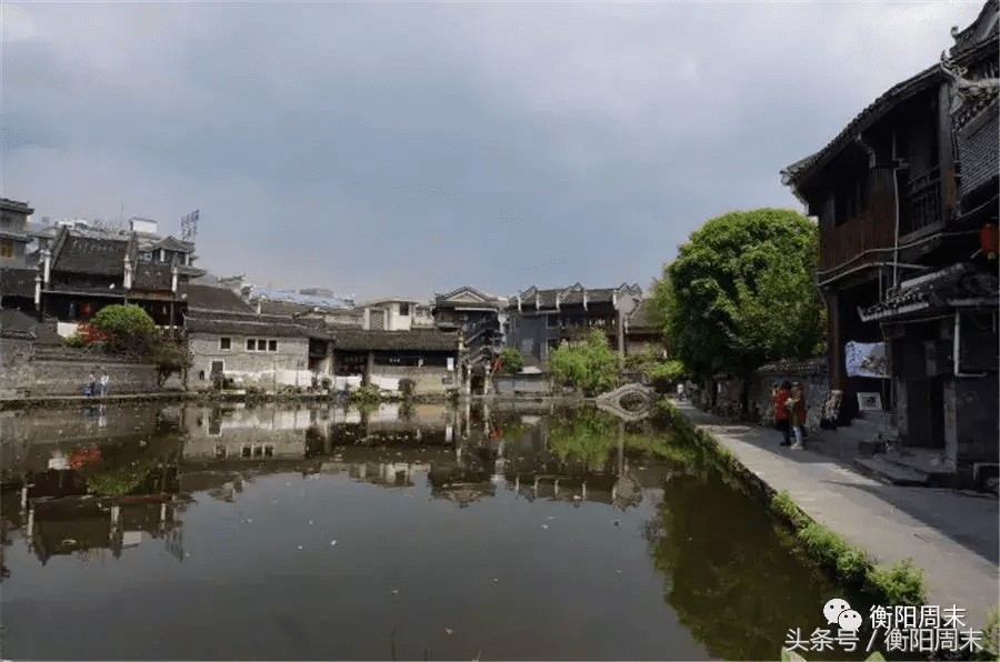 荷花地风水宝地(开莲花的风水宝地)