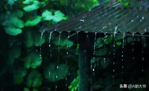 梅雨季节是什么意思(梅雨季节是什么时间)
