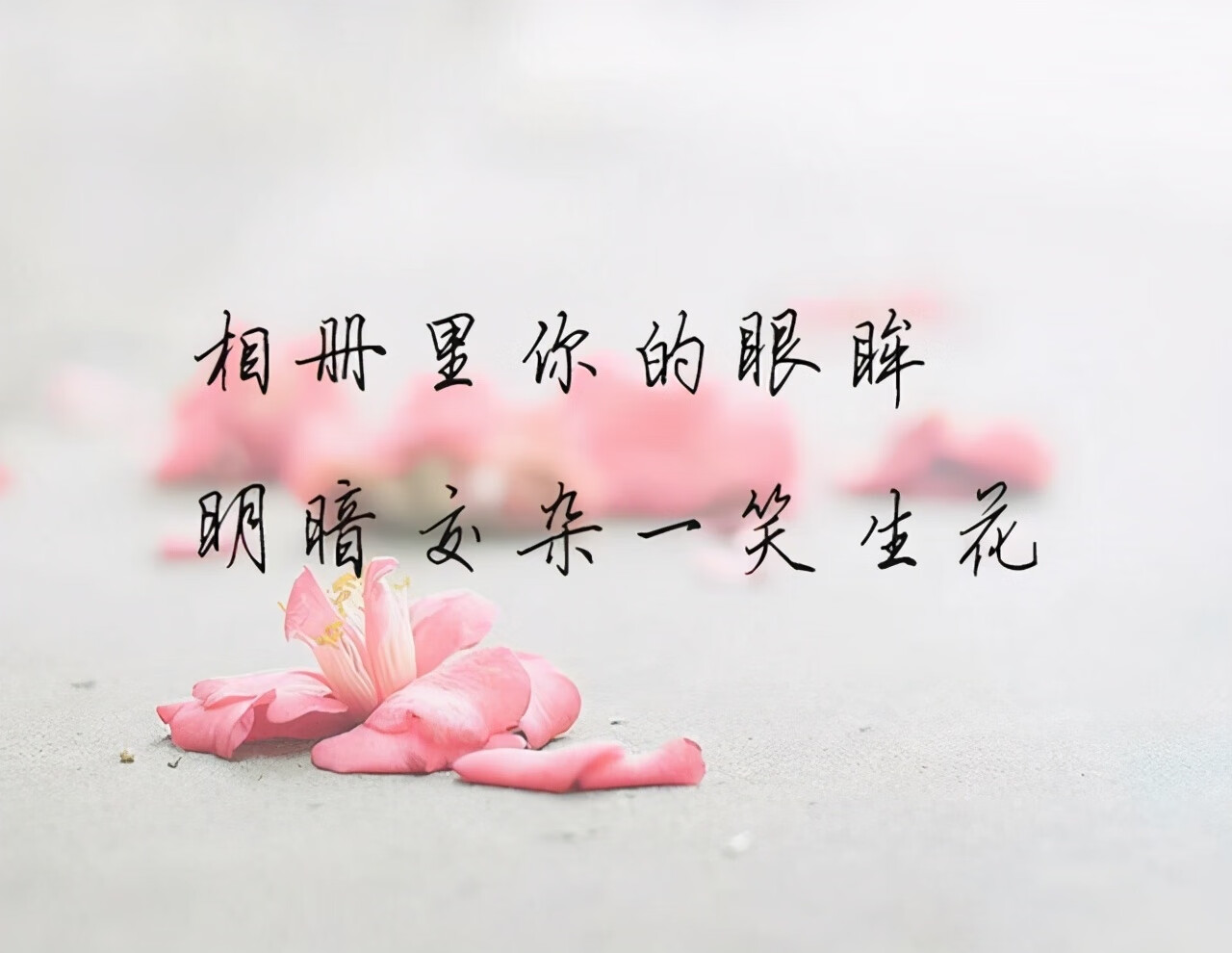 315爱情含义是什么意思(315在爱情里是啥意思)