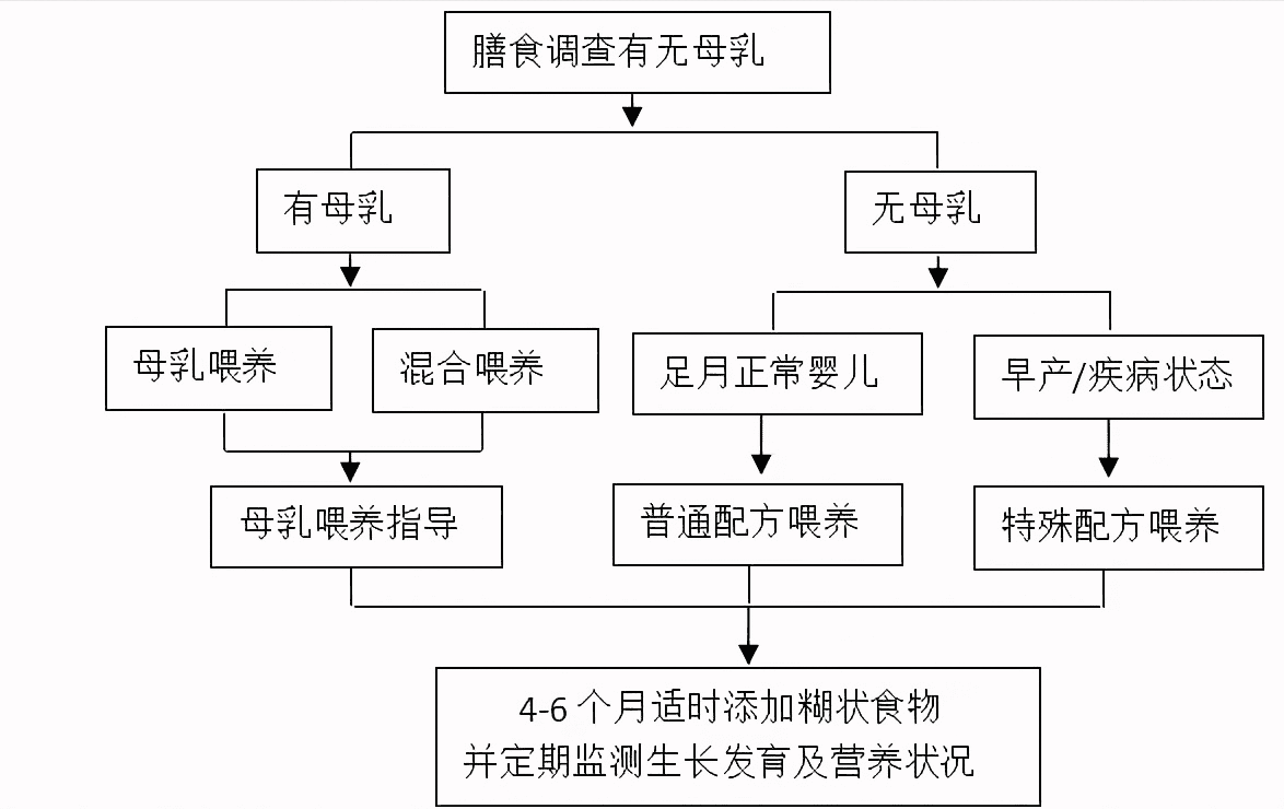 儿童营养学(儿童营养健康)