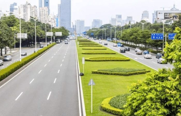 马路的绿化带马路边绿化带植物