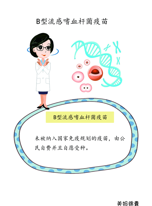 疫苗hib是什么意思(hib免疫疫苗)
