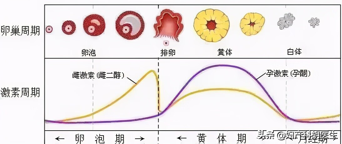 例假洗头发(例假洗头发突然就没有了)