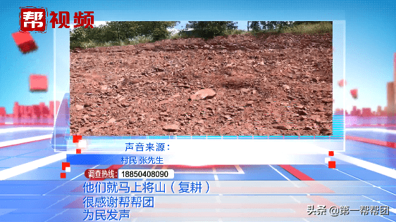 坟墓建在林地怎么处理(林地风水下葬方向)