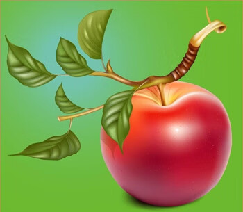 苹果的营养功效(苹果功能和营养)
