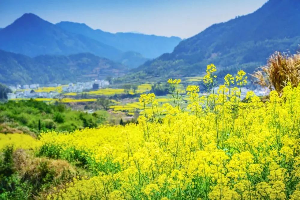 三月份去哪里旅游好呢(三月份去哪里旅游好玩又便宜)