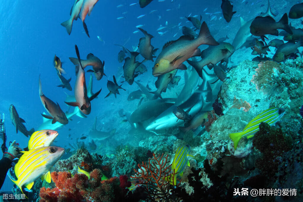 生活就是沸腾的海洋，就要有大风大浪，那才叫波澜壮阔呢