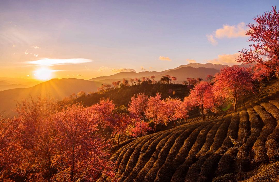 11月份去哪里旅游好玩(11月出游有哪些好地方)