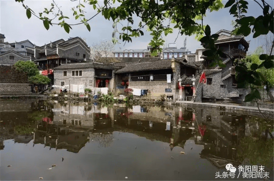 荷花地风水宝地(开莲花的风水宝地)