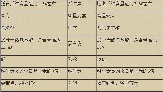 黑苦荞麦和黄苦荞麦的区别(黑苦荞麦米的功效与作用及禁忌)