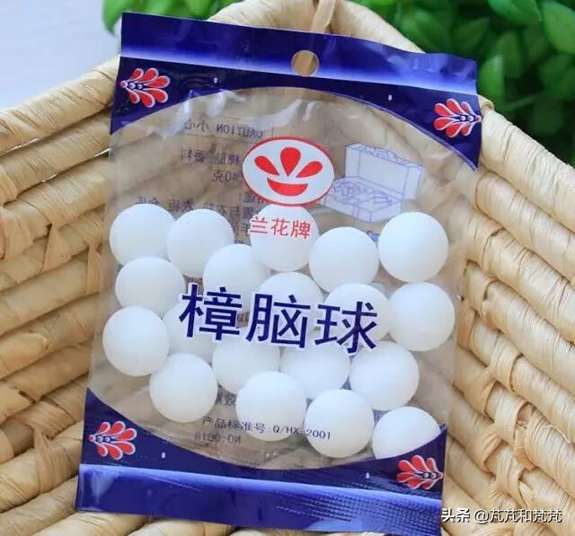 蚕豆病是什么病?(为什么复查蚕豆病没了)