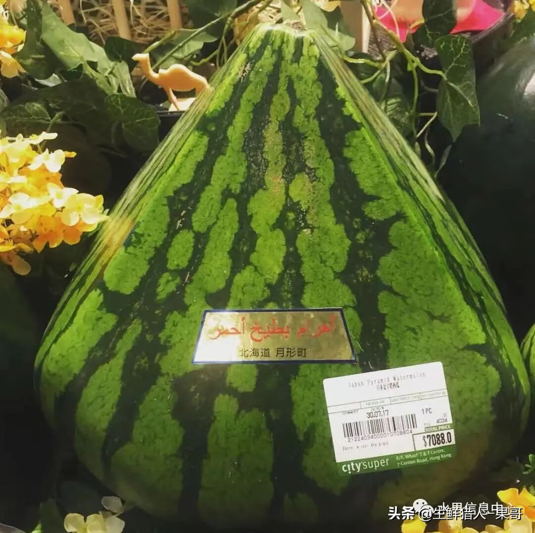 果(果蓏)