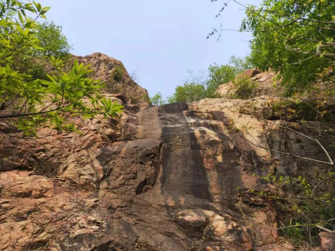 上山龙风水宝地(九龙缠顶风水宝地)