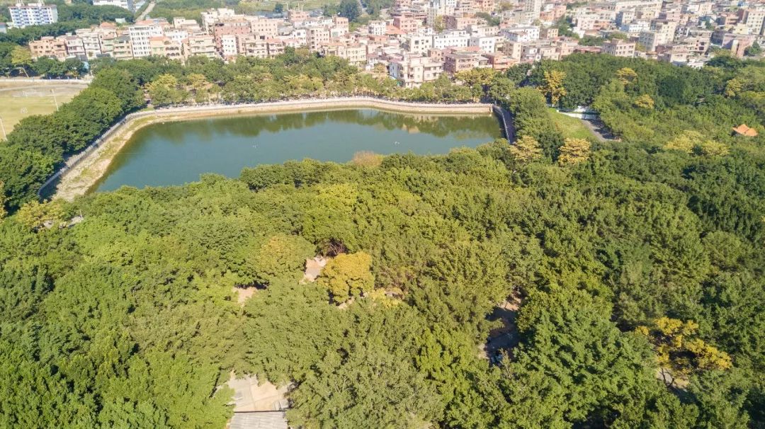 舊水坑森林公園在哪裡(番禺舊水坑公園)