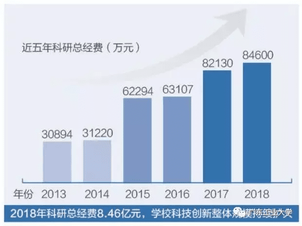 东莞电大成绩查询入口(电大考试成绩查询网址)