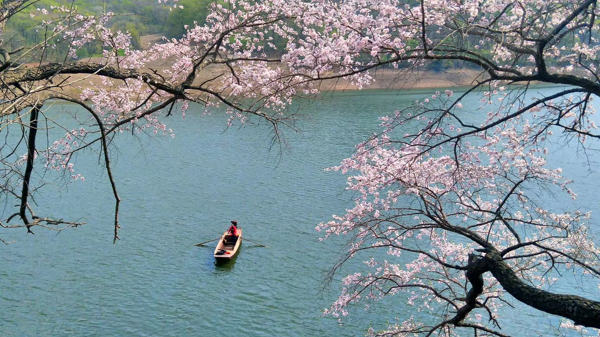 吉林松花湖风景(吉林松花湖国家风景名胜区)