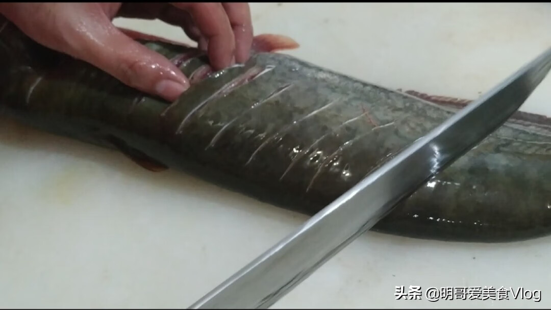 鲶鱼炖茄子的做法大全(家常清炖鲶鱼的做法)