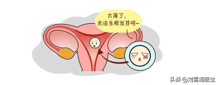 备孕子宫内膜薄怎么办(女性子宫内膜薄是什么原因造成的)