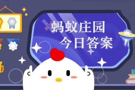 孕妇安全带蚂蚁庄园(孕产妇安全)