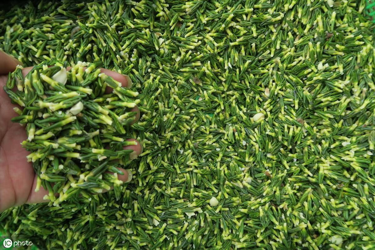 莲子心泡茶有什么功效(茶叶莲子心泡水)