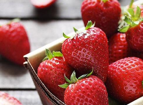 吃草莓的好处与功效(每天吃草莓有什么好处)