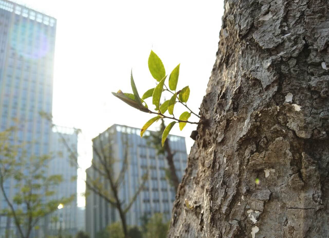 360手机游戏加速器(手机游戏加速器)