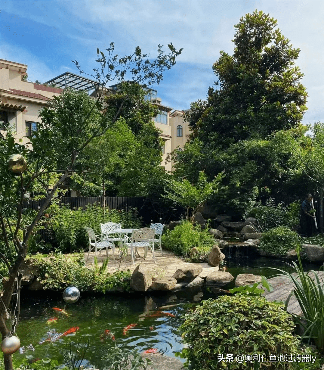 农家院建鱼池的风水(农村院里建鱼池好不好)