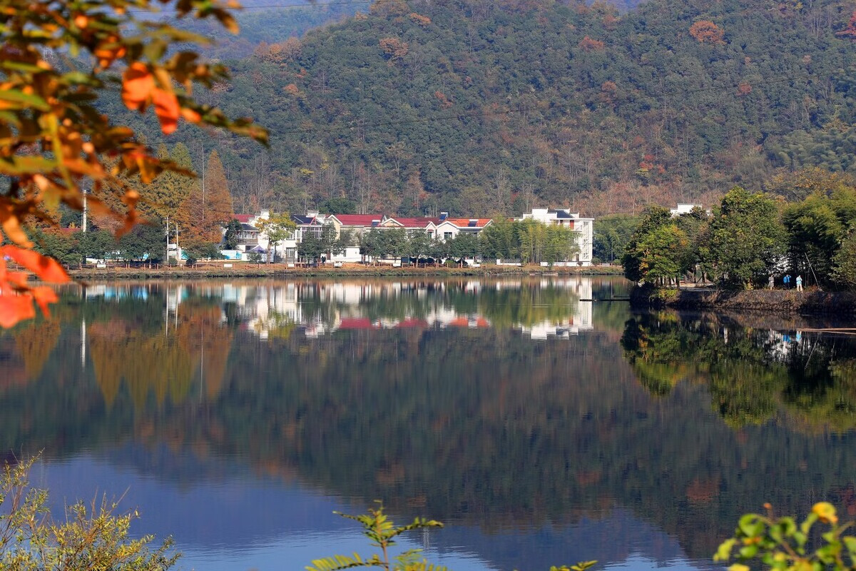 宁国风水大师(万宁风水大师)