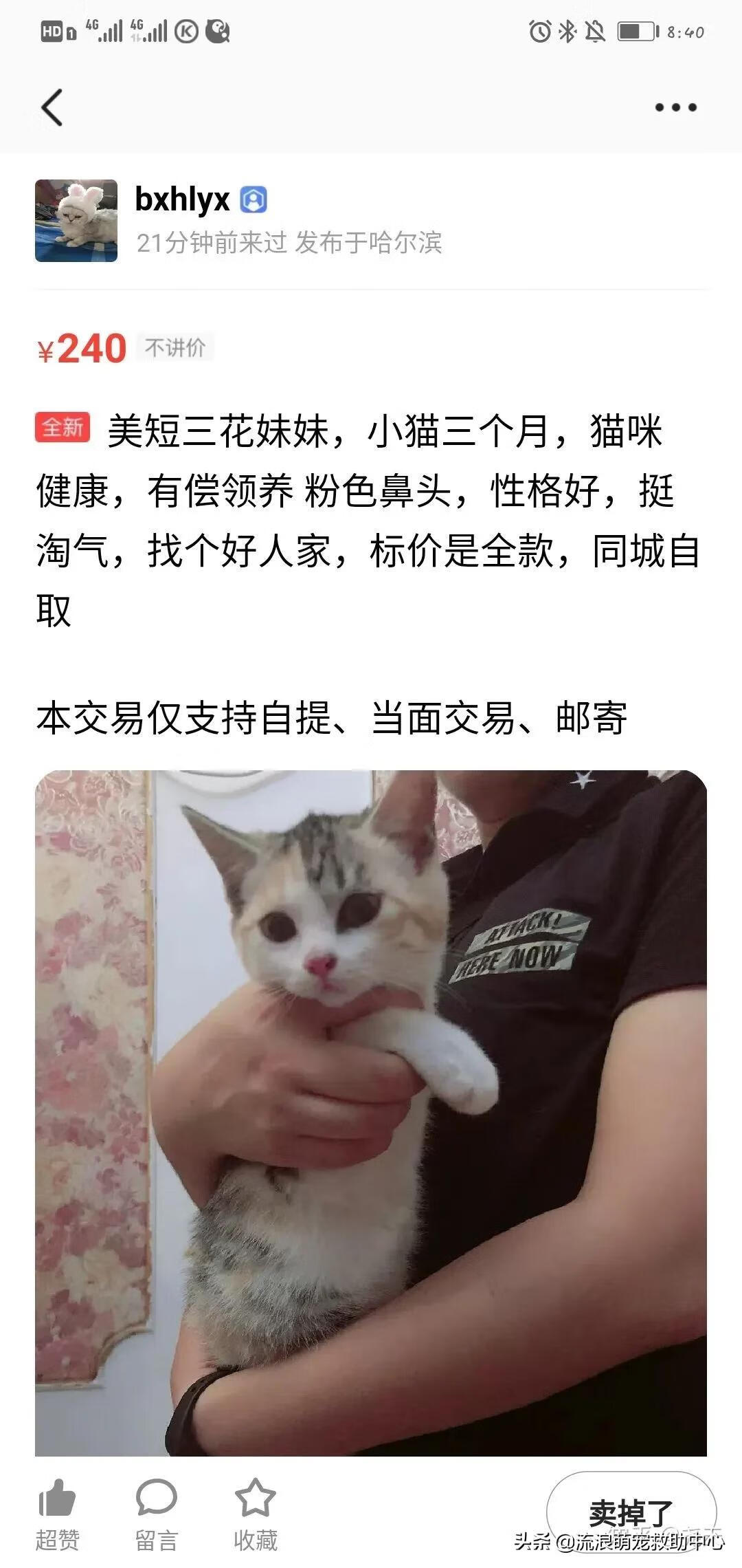 12315可以投诉交易猫吗(交易猫卖家被申诉)