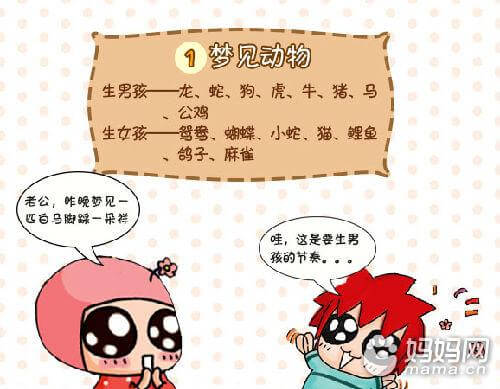 孕妇生男生女的预兆(孕妇生男女都是什么特征)