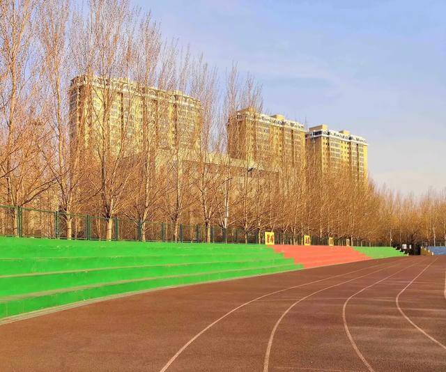 黑龙江生物科技职业技术学院(黑龙江省生物科技职业学院地址)