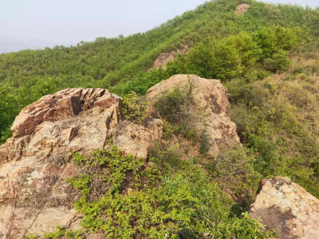 上山龙风水宝地(九龙缠顶风水宝地)