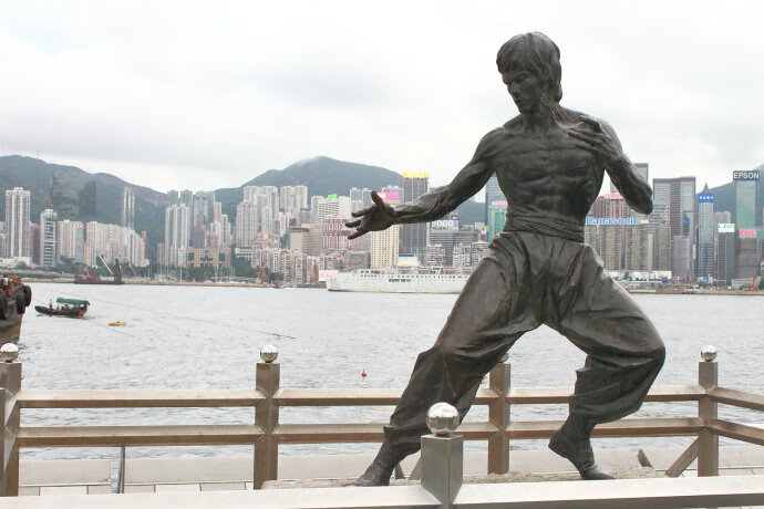 盛大功夫世界视频(功夫世界官方网站)